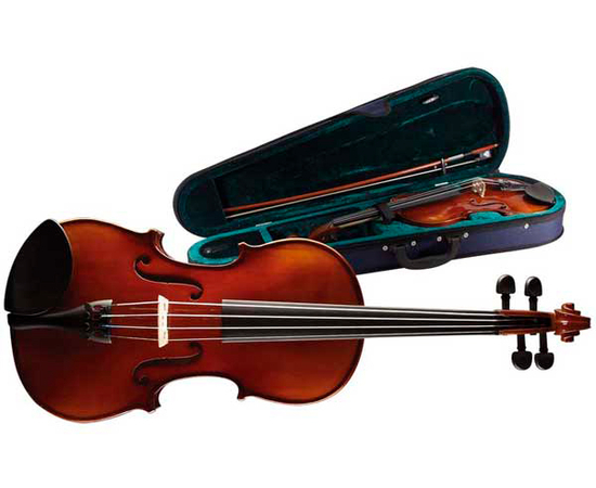 Скрипка 4/4 Stagg VN-4/4 HG - 23049 за 0 грн. | 4Club